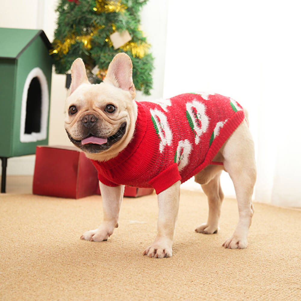 Suéter de punto de perros de cuello de tortuga navideño para perros y propietario