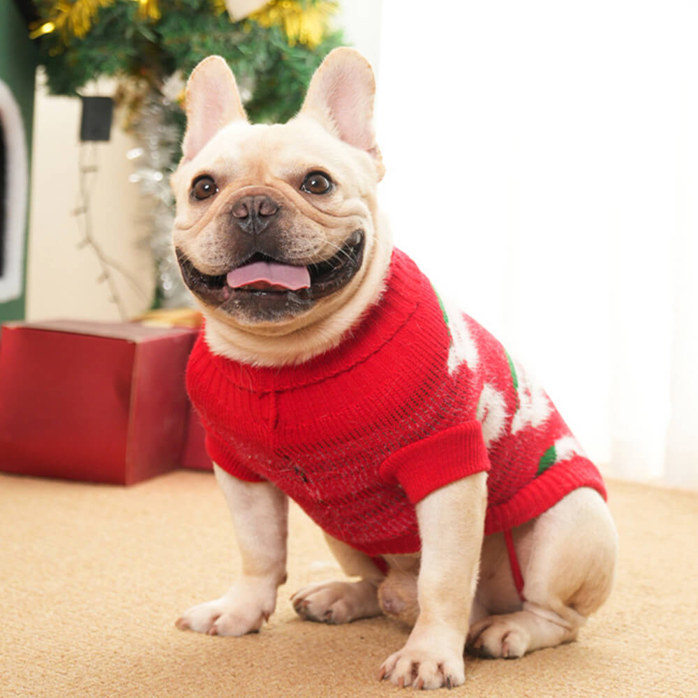 Suéter de punto de perros de cuello de tortuga navideño para perros y propietario