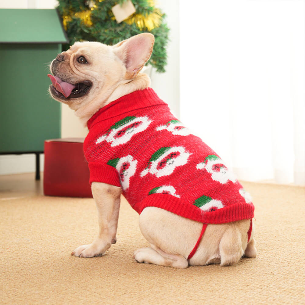 Suéter de punto de perros de cuello de tortuga navideño para perros y propietario