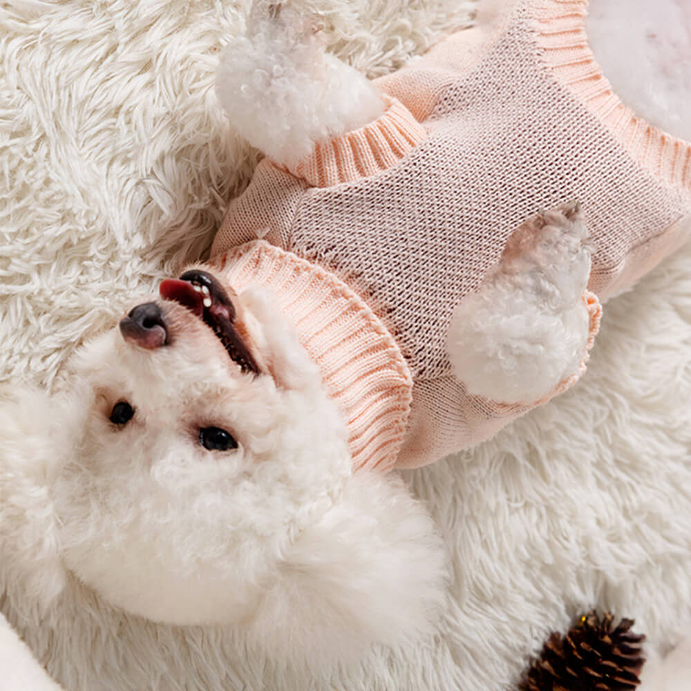 Suéter de punto de perros de cuello de tortuga navideño para perros y propietario