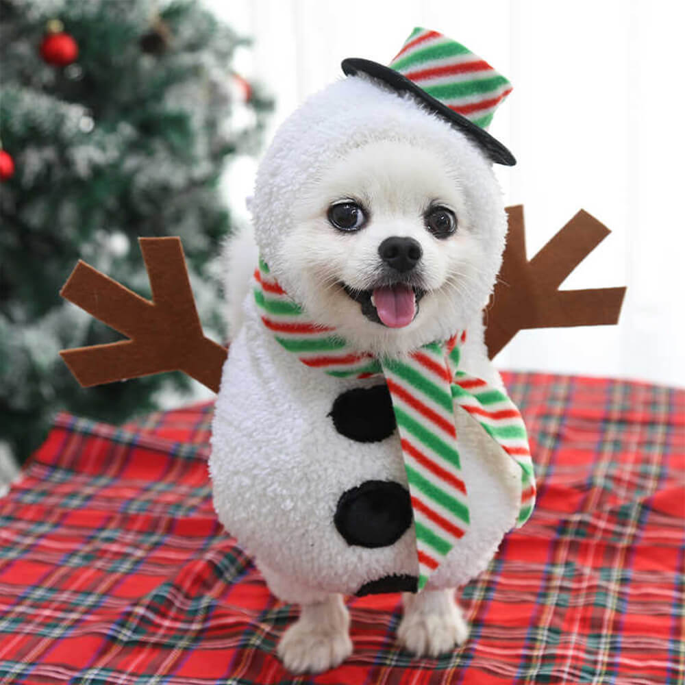 Traje de muñeco de nieve para caminar por Navidad