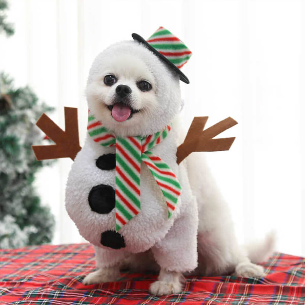 Traje de muñeco de nieve para caminar por Navidad