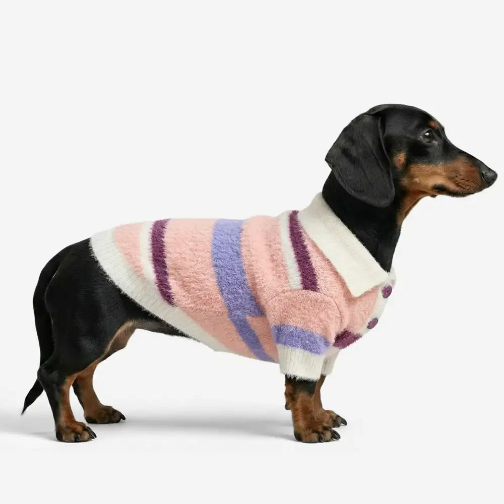 Color-Blocked Striped Faux Mink Fur Warm Dachshund Dog Sweater Suitable For Puppies
