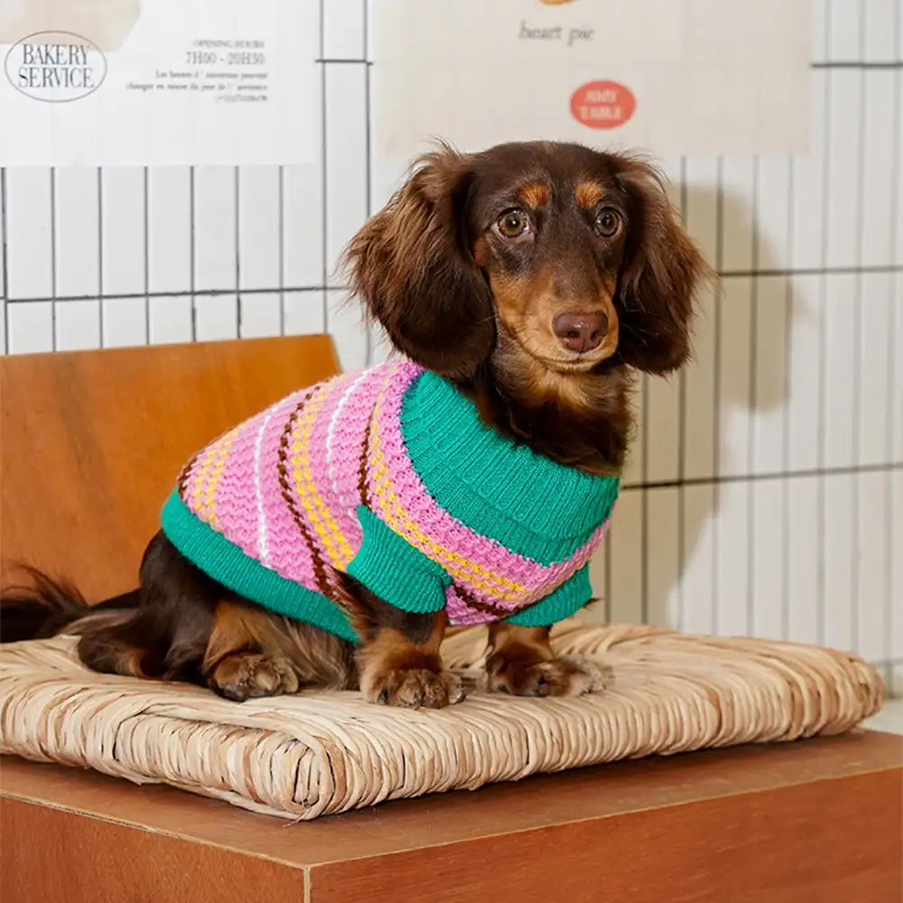 Color Blocked Striped Dachshund Dog Sweater