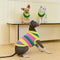 Color Blocked Striped Dachshund Sleeveless Dog Sweater