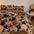Deluxe Floral Double-Sided Velvet Dual Warmth Bed Sheet Set