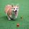 Elastic Squeaky Ball Toy Floating Water Ball Dog Chew Toys