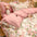Elegant Ruffled Floral Cotton Bed Sheet Set