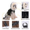 Fur-Trim Hooded Warm Dog Coat with Leash Buckle