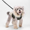 Fur-Trim Hooded Warm Dog Coat with Leash Buckle