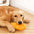 Juguete de perro de limpieza de dientes duraderos interactivos interactivos interactivos