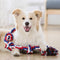 Toy de perro de nudo de cuerda Tug Interactive Toy