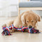 Toy de perro de nudo de cuerda Tug Interactive Toy