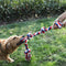 Toy de perro de nudo de cuerda Tug Interactive Toy