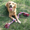 Toy de perro de nudo de cuerda Tug Interactive Toy