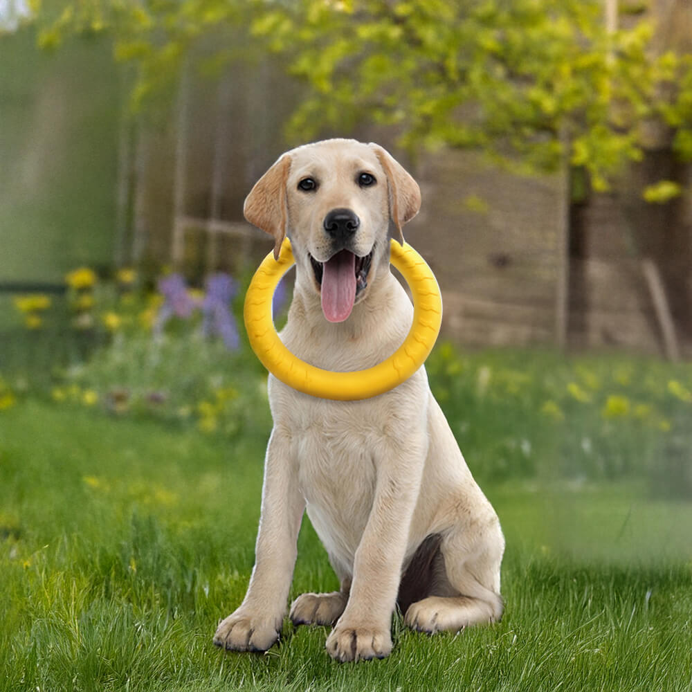 Toy de perro de masticación flotante de Eva Durable Eva