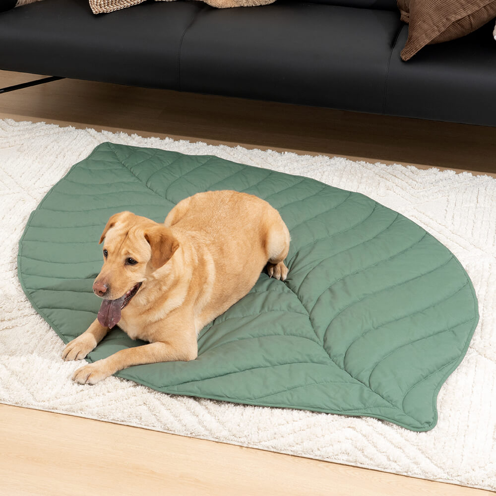 Forma súper grande de la hoja Mostora de perros humano