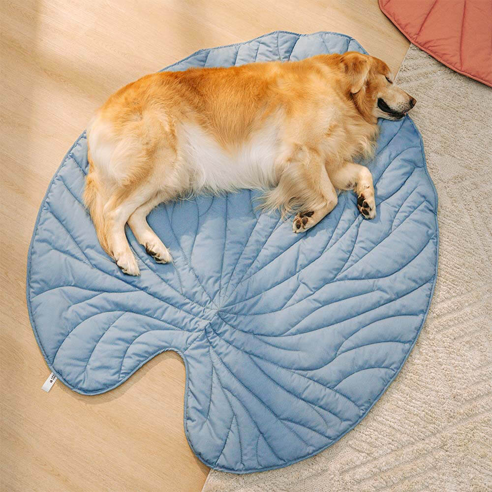 Forma súper grande de la hoja Mostora de perros humano