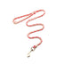 Hand-Woven Leather Multifunctional Anti-Pull Dog Collar and Leash Set