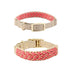 Hand-Woven Leather Multifunctional Anti-Pull Dog Collar and Leash Set