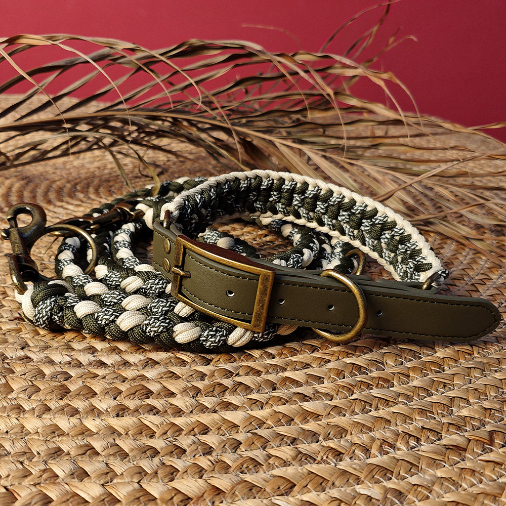 Multifunktionales Anti-Pull-Hundehalsband und Leine-Set aus handgewebtem Leder