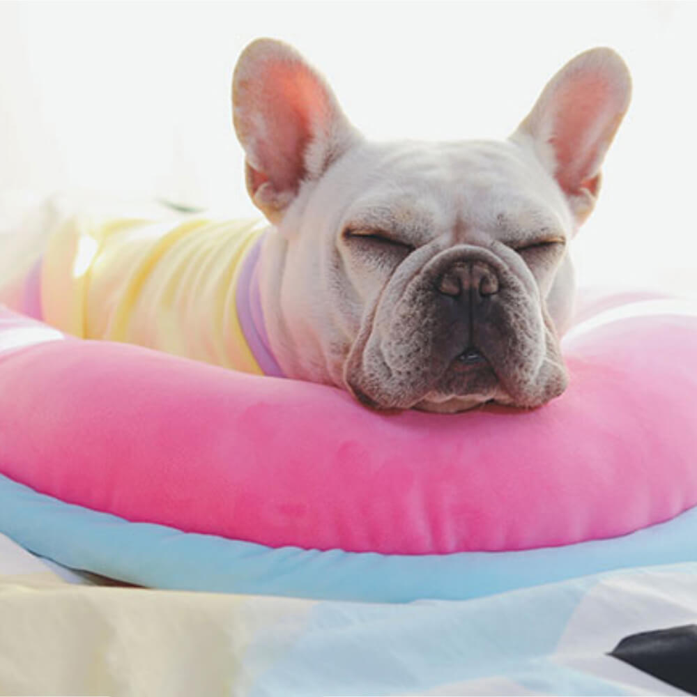 Almohada de almohada ortopédica almohada para perros