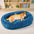 Soporte ortopédico ovalado acogedor cama desmontable y gato desmontable para dormir