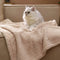 Polar Fleece Comfortable Warm Multifunctional Pet Blanket