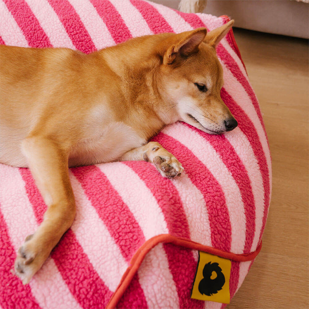Trendiges, gestreiftes, polygonales, beruhigendes Sitzsack-Hundebett