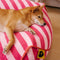 Trendiges, gestreiftes, polygonales, beruhigendes Sitzsack-Hundebett