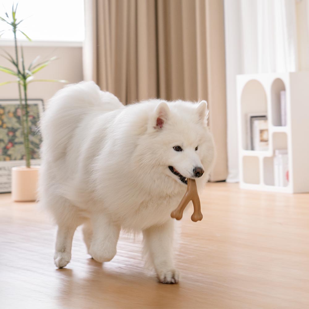 Bones de dentición para perros Chew Toy - con sabor a tocino