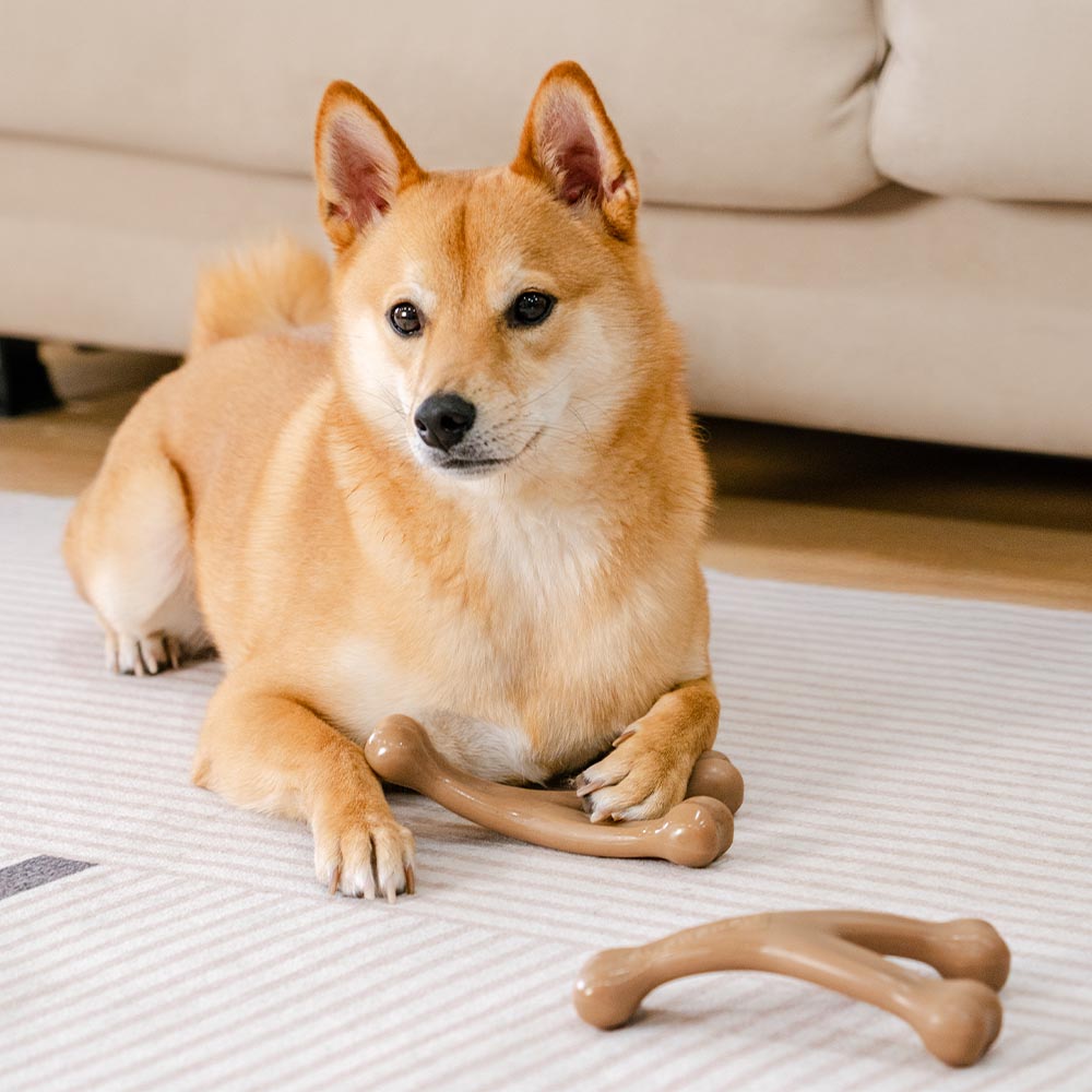 Bones de dentición para perros Chew Toy - con sabor a tocino