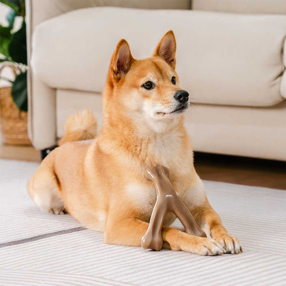 Bones de dentición para perros Chew Toy - con sabor a tocino