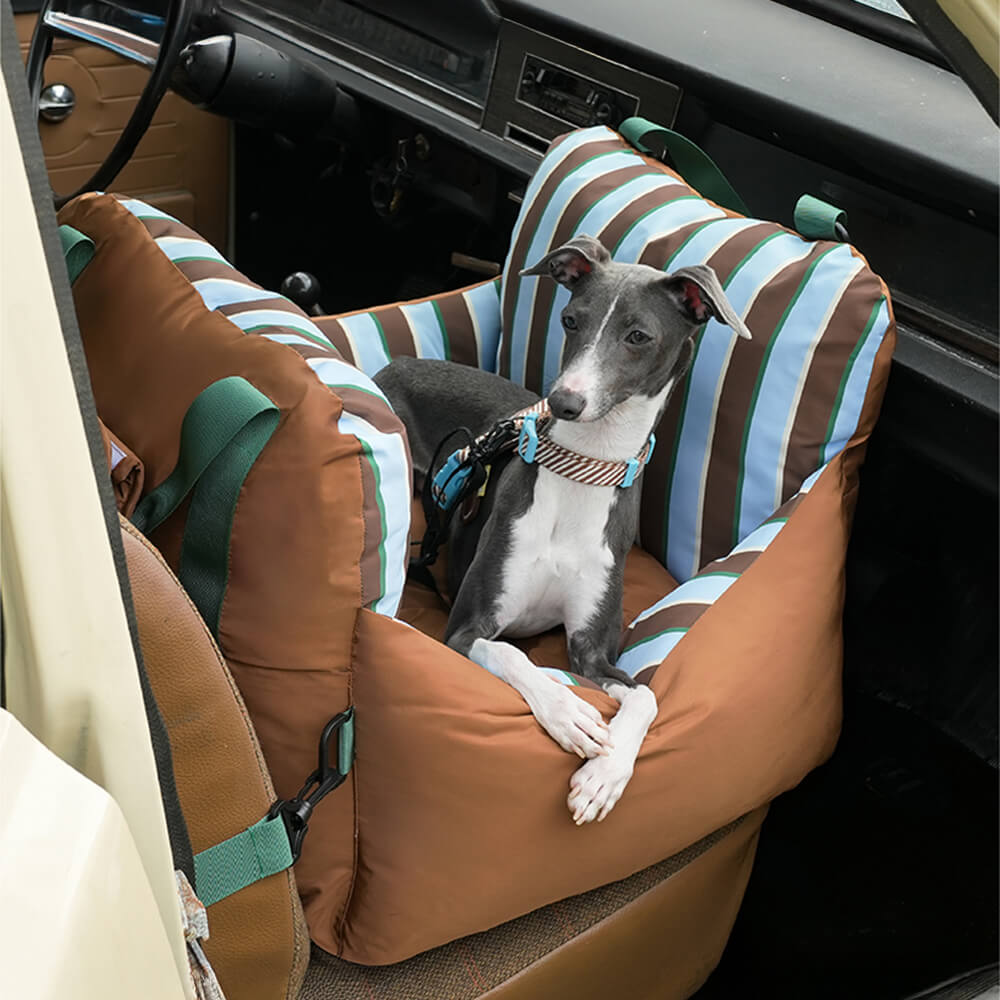 Vibrant Vibe Travel Booster Multifuncional cama para perros impermeable