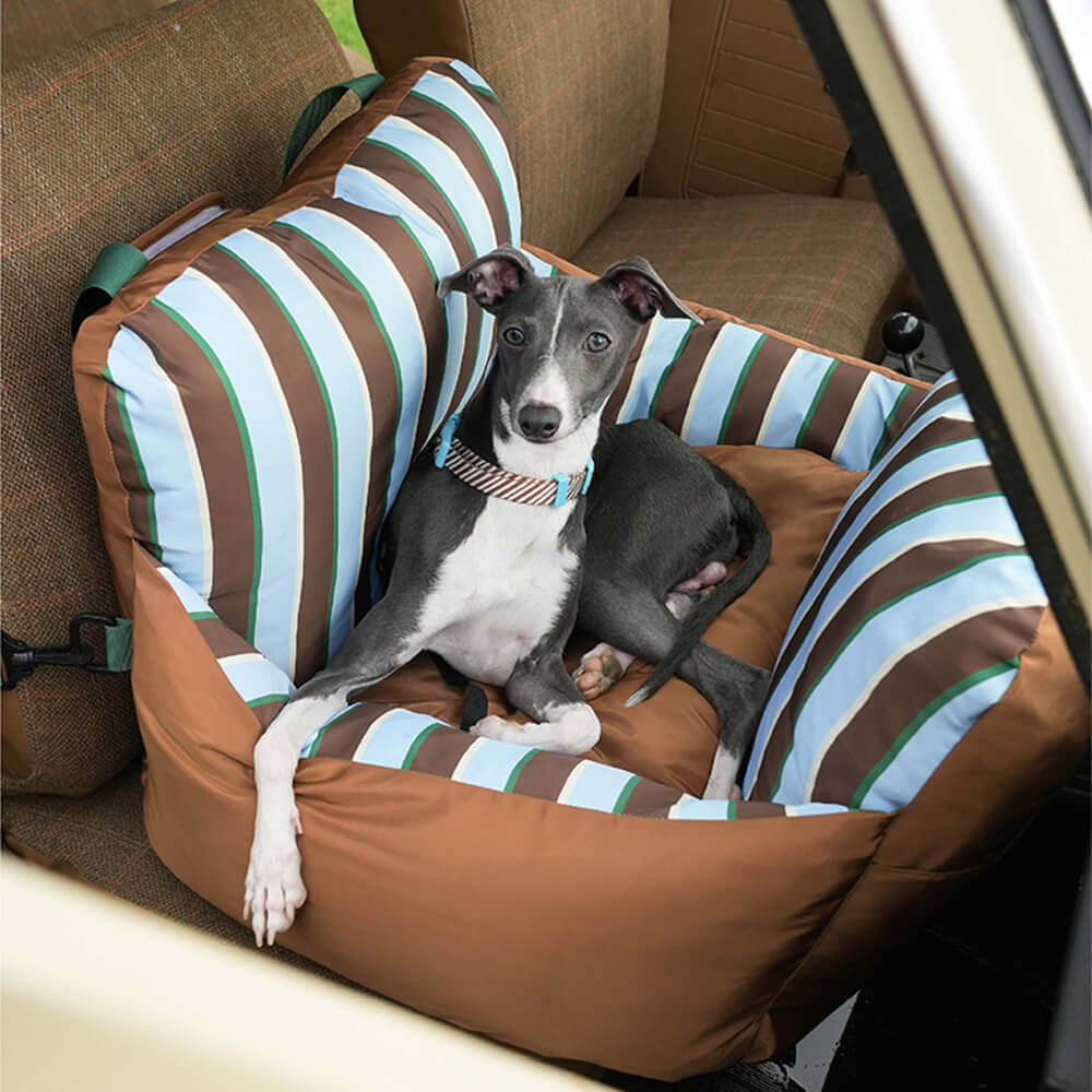 Vibrant Vibe Travel Booster Multifuncional cama para perros impermeable