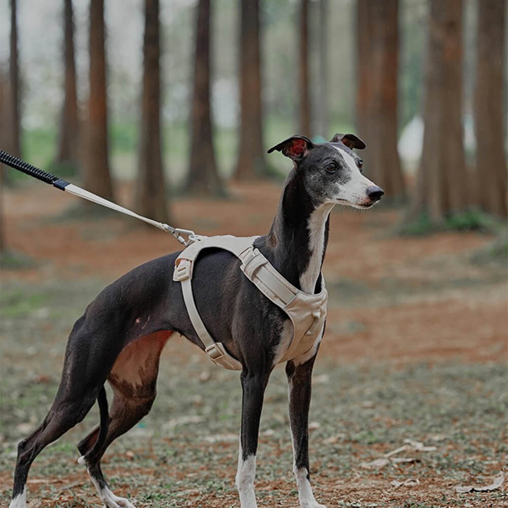 Arnés de perros anti-Pull transpirable para perros impermeable o correa multifuncional