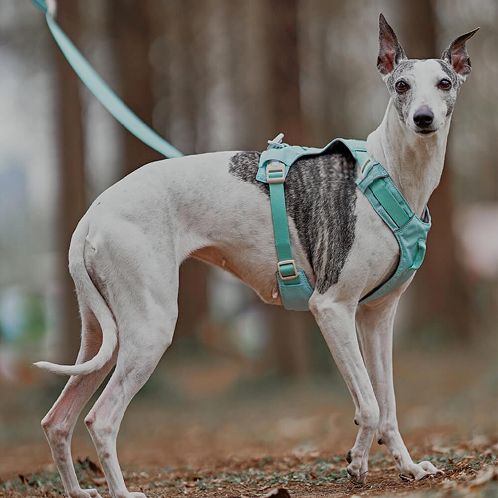Arnés de perros anti-Pull transpirable para perros impermeable o correa multifuncional