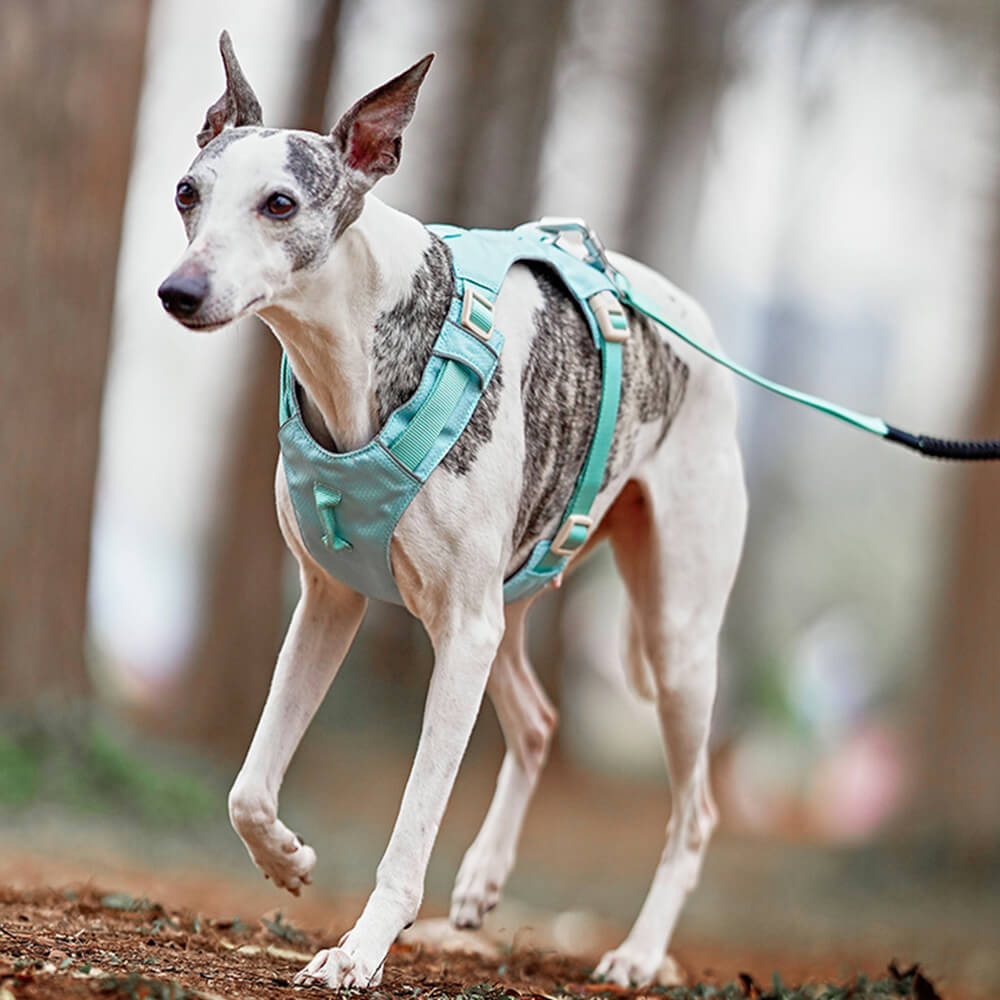 Arnés de perros anti-Pull transpirable para perros impermeable o correa multifuncional