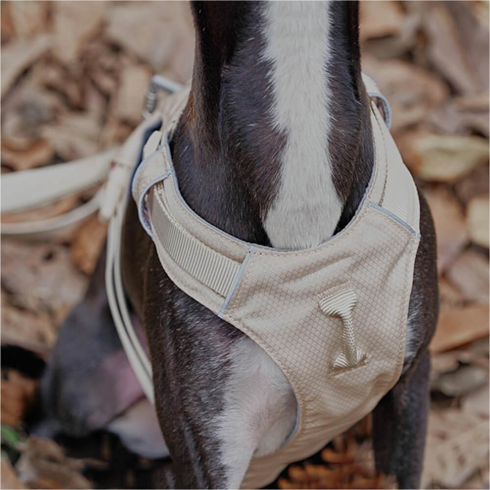 Arnés de perros anti-Pull transpirable para perros impermeable o correa multifuncional
