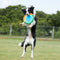 Interaktives Hundespielzeug für den Außenbereich, langlebiges Oxford-Stoff-Hundefrisbee