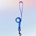 Colorful Gradient Dog Traction Rope and Chest Harness - Anti-Breakaway Design