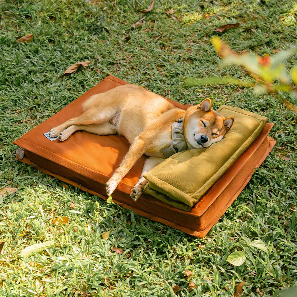 Anti-anxiété avec support en éponge Lit pour chien à sommeil profond