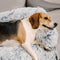 Cama Protetora de Móveis Calmante para Cachorro - Encosto Fuzzy