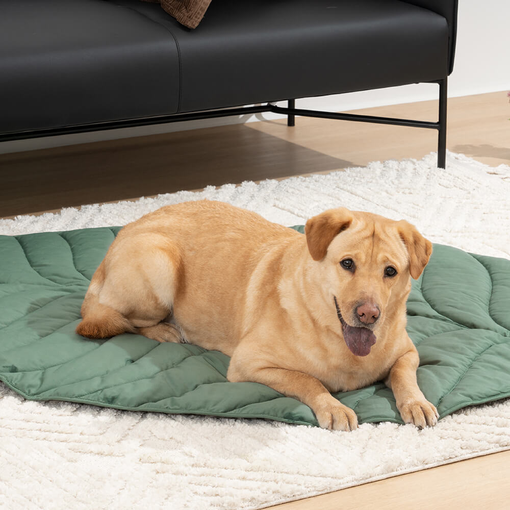 Forma súper grande de la hoja Mostora de perros humano