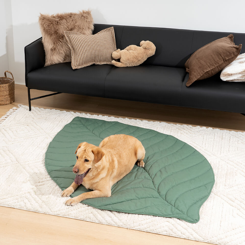 Forma súper grande de la hoja Mostora de perros humano