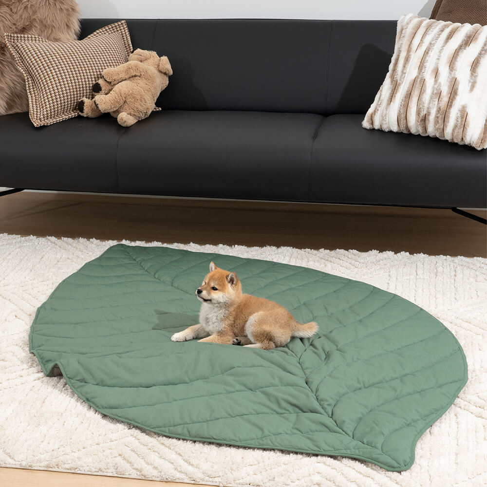 Forma súper grande de la hoja Mostora de perros humano
