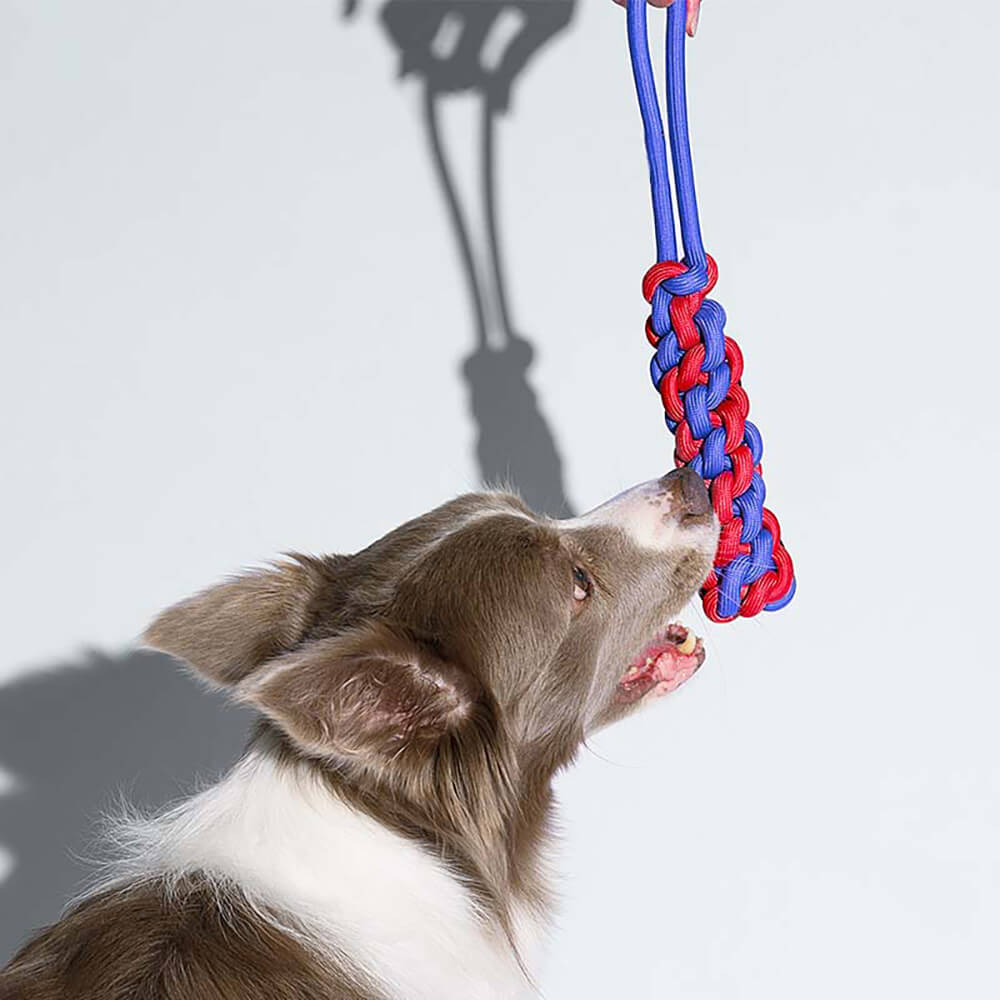 Knots Rope Hundespielzeug-Set – Color Clash