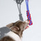 Knots Rope Hundespielzeug-Set – Color Clash